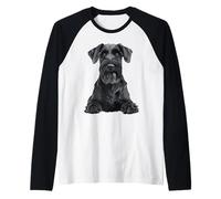 Cute Giant Schnauzer Sitting Raglan Baseball Tee