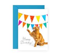 Cute Ginger Cat Birthday Card - Greeting Card for Her, Him, Friends, Colleagues, Coworker, Kids, Children, Women, Men, Cat Lovers - Party Banner - Comes with Fun Stickers