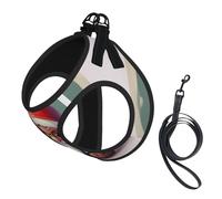 Cute Gnome Print Soft Mesh Dog Harness and Leash Set Pet Puppy Cat Comfort Padded Vest No Pull Harnesses