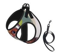 Cute Gnome printing Puppy Harness, Dog Harness and Leash Set, Soft Mesh Reflective Breathable Lightweight Vest-Style