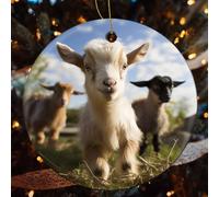 Cute Goat Ceramic Christmas Ornaments - 2 Pcs Rustic Round Xma Tree Decor with Hanging String, Personalized Vintage Double-Sided Holiday Party Decorations for Xmas Gifts