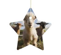Cute Goat Ceramic Christmas Star Ornaments - 2.7 Inch Rustic Star Xmas Tree Decor with Hanging String, Personalized Vintage Double-Sided Holiday Party Decorations for Xmas Gifts