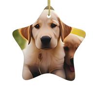 Cute Golden Retriever Puppy Christmas Ceramic Star Ornament with Hanging Ribbon, Holiday Hanging Decoration for Tree & Home