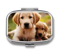Cute Golden Retriever Puppy Pill Box,2 Compartments Square Pills Container,Portable for Pocket Or Purse Pill Organizer to Hold Vitamins,Medication,Fish Oil,etc