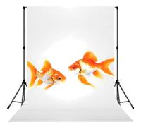 Cute Goldfish Print Photo Studio Background 5x7ft Soft Photo Backdrop Curtain For Studio Content Creator Equipment