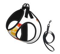 Cute Goldfishes Print Soft Mesh Dog Harness and Leash Set Pet Puppy Cat Comfort Padded Vest No Pull Harnesses