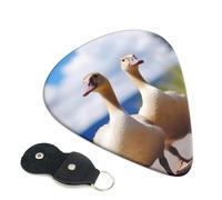 Cute Goose Guitar Plectrums, 6 Guitar Plectrums, Double Sided Printing, For Acoustic Guitar, Bass, Ukulele, Electric Guitar (0.46 Mm 0.71 Mm 0.96 Mm)