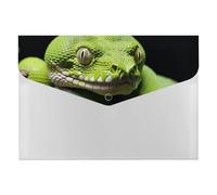 Cute Green Tree Python File Folder, Plastic Accordion File Folders with 6 Pockets, Expanding File Organizer with Snap Closure, Portable Document Paper Organizer, Office Supplies Filing Folders