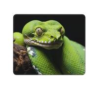 Cute Green Tree Python Print Mouse Pad Gaming Mouse Mat with Non-Slip Rubber Base Square Mousepad 10 X 12 in Computer Mouse Pad for Home Office Working Gift