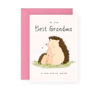 Cute Greeting Card for Her - "Hedgehog Grandma" - Greeting Card for Nanny, Nan, Granny, Grandmother, Grandparent - Adorable Animals - Comes with Fun Stickers