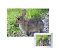Cute Grey Hare Rabbit,1000 Pieces Wooden Jigsaw Family Game Jigsaw Puzzles for Adults Teens Home Decor