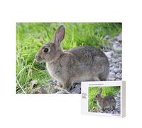 Cute Grey Hare Rabbit,300 Pieces Wooden Jigsaw Family Game Jigsaw Puzzles for Adults Teens Home Decor