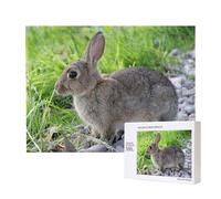Cute Grey Hare Rabbit,500 Pieces Wooden Jigsaw Family Game Jigsaw Puzzles for Adults Teens Home Decor