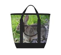 Cute Grey Hare Rabbit,Lunch Bags Large Capacity Insulated Tote Bag For Women Men Work Picnic Travel
