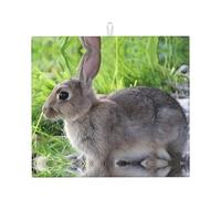 Cute Grey Hare Rabbit Printed Non Slip Kitchen countertop mat with Hanging Rope 18 x 16 inches Absorbent Kitchen countertop Drain mat Suitable for countertops Sinks and Drain Racks