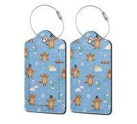 Cute Groundhog, Cloud and Flower Luggage Tags with Stainless Loop Privacy Cover ID Funny Cute Unique Pattern 2 PCS