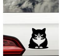 Cute Grumpy Pet Cat Waterproof Vinyl Sticker - Wall Decal, Laptops, Car, Water Bottles, Motorbikes, Vans, Gifts for Cat Lovers (1, 14cm x 14cm (5.5" x 5.5"))