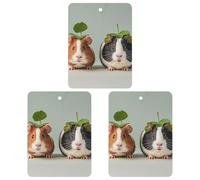 Cute Guinea Car Air Freshener, 3 Pcs Square Hanging Air Freshener Cards, Long Lasting Fragrance Scented Cards for Car, Home, Office Black-style
