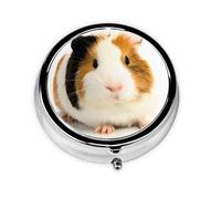Cute Guinea Pig