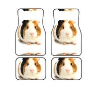 Cute Guinea Pig Complete set of car floor mats, 4-piece interior set suitable for most cars, trucks, and vans