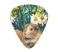 Cute Guinea Pig Guitar Picks 12 Pcs Classical Triangle Guitar Plectrums Includes Thin, Medium & Heavy Gauges 3 Sizes for Bass Electric Acoustic Guitars Ukulele with Organizer Storage Box
