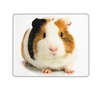 Cute Guinea Pig Mouse Pad, Laptop Desk Pad,Non-Slip Base Water Resist Keyboard Pad,Desk Mat for Gamer, Office & Home