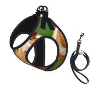 Cute Guinea Pigs Print Soft Mesh Dog Harness and Leash Set Pet Puppy Cat Comfort Padded Vest No Pull Harnesses