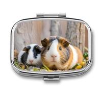 Cute GuineaPig Pill Box, Portable Pill Organizer, Medicine Pill Container with Mirror and 2 Compartments, Daily Medicine Organizer, Travel Pill Case for Pocket Or Purse