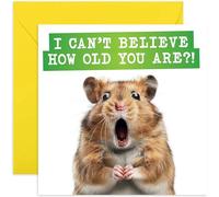 Cute Hamster Birthday Card for Him or Her - 'Can't Believe You're How Old' Sweet Birthday Card for Men Women - Funny Hamster Birthday Card for Sister Brother Mum Dad - Hilarious Birthday Gift