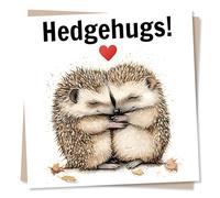 Cute Happy Birthday or Thinking Of You Card For Loved One - Hedgehog, Hugs, Animal Lover - Hedgehugs - For Her, Partner, Sister, Bestie, Best Friend
