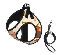 Cute Hedgehog And Mushroom,Pet Harness,Adjustable Reflective Dog Harness,Pet Leash Vest,M