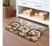 Cute Hedgehog Autumn Quick Dry Bath Mat, Fanciful Forest Animals Absorbent Non Slip Shower Mat, Cozy Flannel Washable Bath Rugs for Bathroom Toilet Restroom Decorative 16x24 Inch