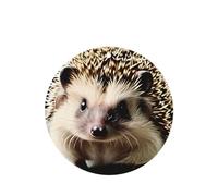 Cute hedgehog Car air freshener, 4-pack, lightweight, hanging type, for car interior decoration.