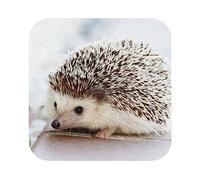 Cute Hedgehog Coasters For Drinks, Leather Coasters Cup Mat Pad Tabletop Protection For Home And Kitchen Use, 4 In (6 Pcs)