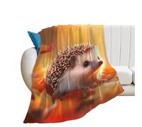 Cute Hedgehog Colorful Autumn Cute Throw Blanket Super Soft Blankets for Fall And Winter Couch Sofa Bedroom 60"*80"(150 * 200cm)