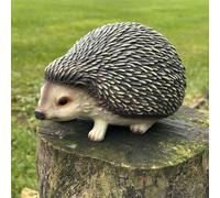 Cute Hedgehog Figurine Home Or Garden Decoration, Gift Boxed Animal Crackers Brown One Size