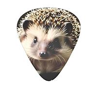 Cute Hedgehog Guitar Plectrums Classical Triangle Bass Acoustic And Electric Guitar Plectrums For Guitarists 12 Pieces
