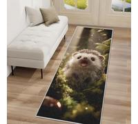 Cute Hedgehog Hallway Runner Rug, Hedgehog Forest Carpet Runner Non-Slip Washable Soft Short Pile Rug for Entryway Kitchen Bedroom Home Decor, 60x180cm Rf5V192a
