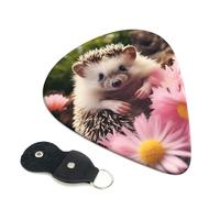 cute hedgehog in flowers Guitar Picks 6 Pcs, 0.96mm Thickness Celluloid Plectrum with Leather Picks Holder, Personalized Guitar Pick for Bass Electric Acoustic Guitars Lovers Gift