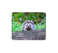 Cute Hedgehog In The Forest Mouse Mat Pad - Animal Nature Computer #14322