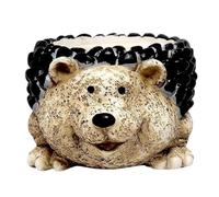 Cute Hedgehog Shaped Ceramic Planter Pot for Indoor Outdoor Plants | Animal Succulent Pot | Garden Decor for Home Office Balcony