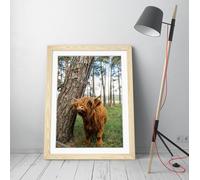 Cute highland cow by tree Stunning Framed Wall Art Print Picture - A3 - Light Oak Frame