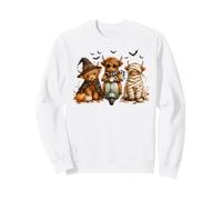 Cute Highland Cow Halloween Trio Spooky Fun Sweatshirt