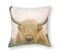 Cute Highland Cow Pillowcases Soft Throw Pillow Covers Body Cushion Protective Case for Sofa Car Home Decor