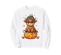 Cute Highland Cow Pumpkin Halloween Beanie Sweatshirt
