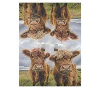 Cute Highland Cows Stroller Canopy with Straps | Printed Baby Stroller Canopy, 120 x 90 Cm Foldable Stroller Accessory