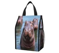 Cute Hippos Insulated Lunch Bag Box, 12L Capacity with Dual Side Pockets, Foldable Cooler Tote, Leakproof Lunch Cooler Bag, Reusable Picnic Tote Bags for Work Travel Office Beach