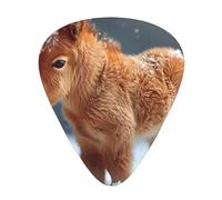 Cute Horse - Guitar Picks-12 Pack Includes Thin, Medium & Heavy Gauges, Best Gift for Guitar Lovers