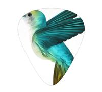 Cute Hummingbird Guitar Plectrums 12 Pieces For Ukulele Bass Instrument Accessories