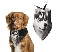 Cute Husky Dog Dog Bandana Triangle Dog Scarf Washable Polyester Dog Bibs Cute Pet Bandana for Medium Large Dogs Puppy and Cats